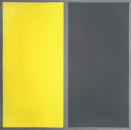 8 colour parts and surrounds 2, 1986, oil on linen, 80cmx80cm by Richard Bell
